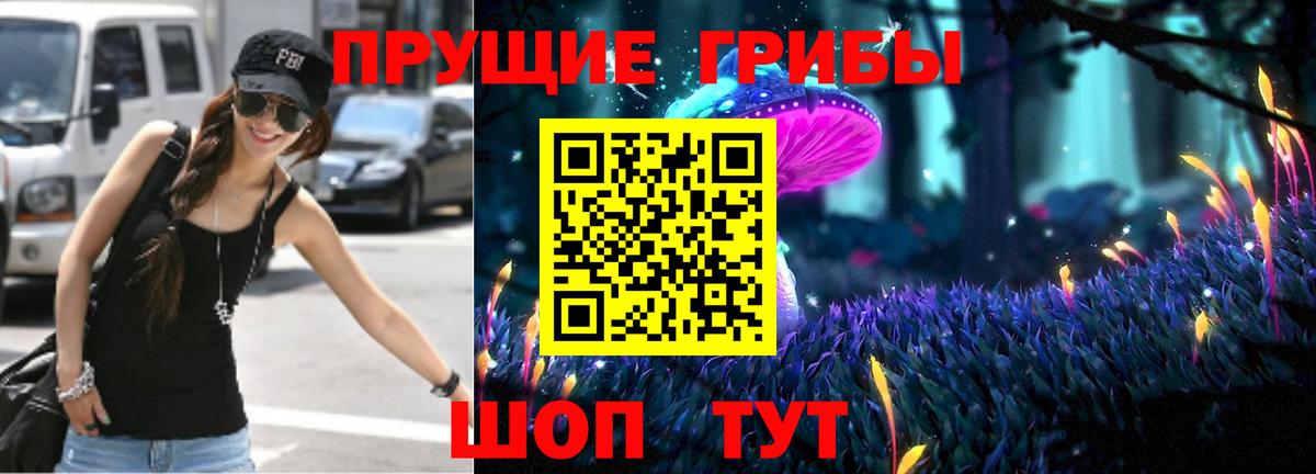 закладка  Галлюциногенные грибы MAGIC MUSHROOMS  Вход с VPN  Сегежа 