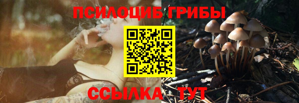 Псилоцибиновые грибы MAGIC MUSHROOMS Сегежа